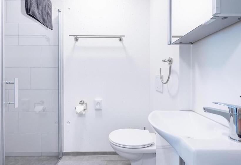 Anstatthotel Goldau Self Check In