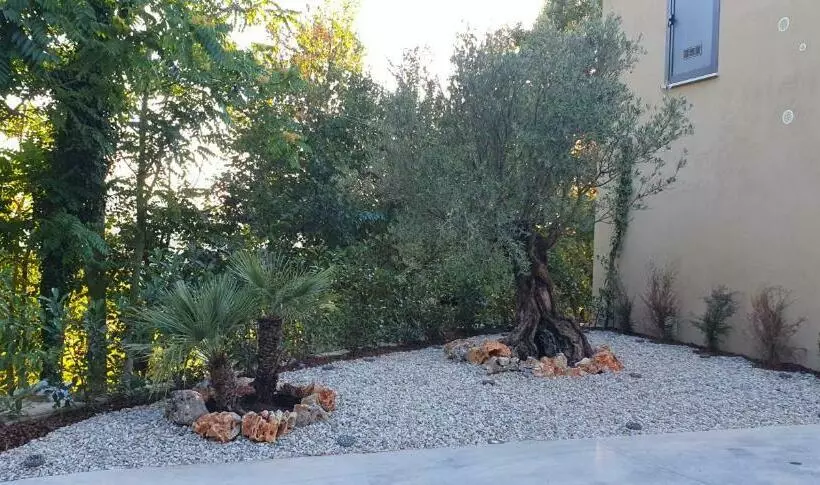 Aamiaismajoitus (B&B) Vinea Del Selvatico Cascina Agricola