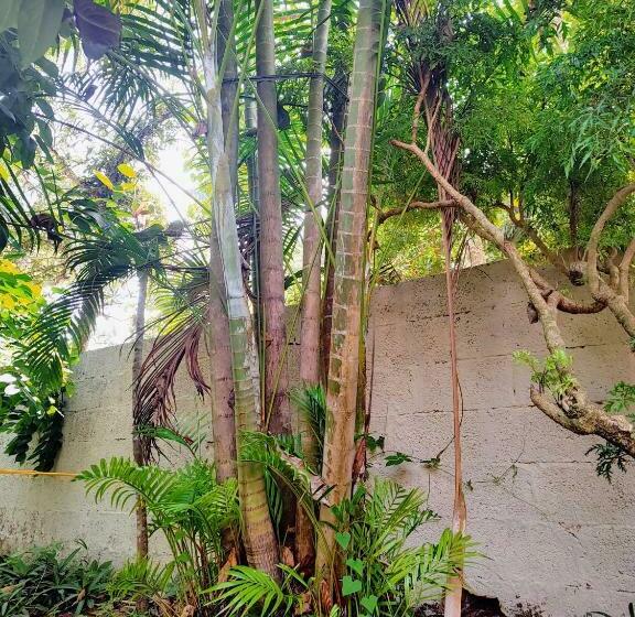Gogonuts Hostel