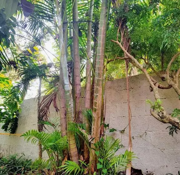 Gogonuts Hostel