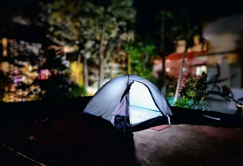 Gogonuts Hostel