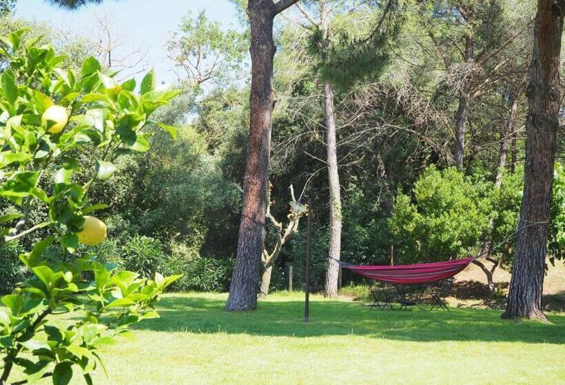 ホテル Masia Can Pitu