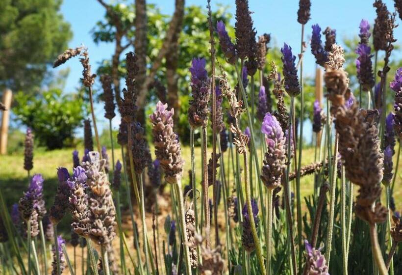 ホテル Masia Can Pitu