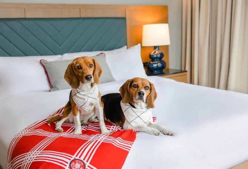 호텔 The Highlander