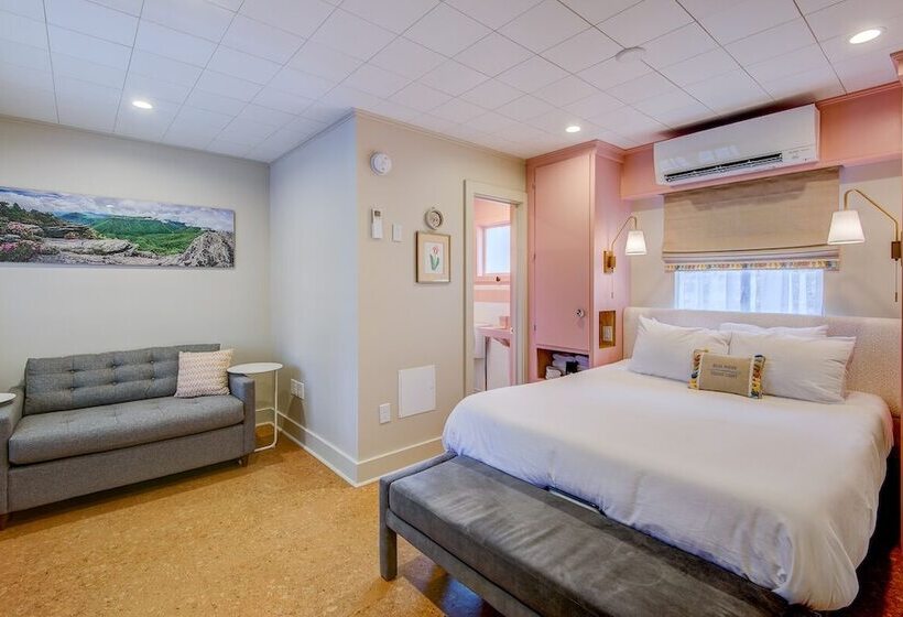 فندق على الطريق Blue Ridge Tourist Court