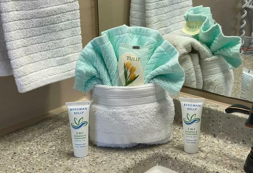 Ocean View Renovated Condo With Pool   Daytona Beach