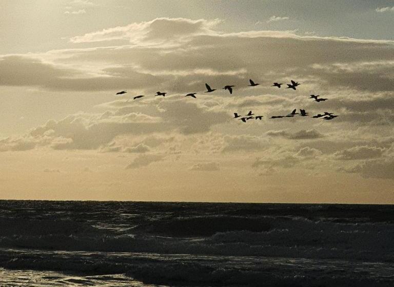 פנסיון O Vilarejo Lagoa Da Conceição