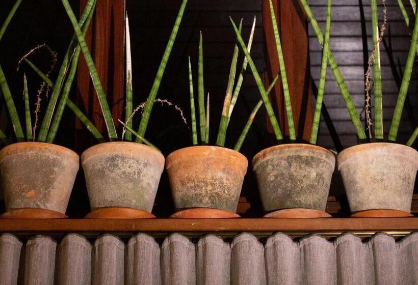 פנסיון O Vilarejo Lagoa Da Conceição