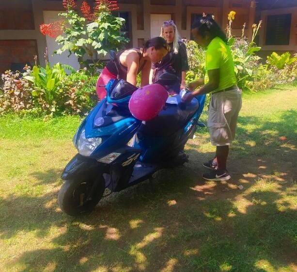 پانسیون Rustic House Hostel