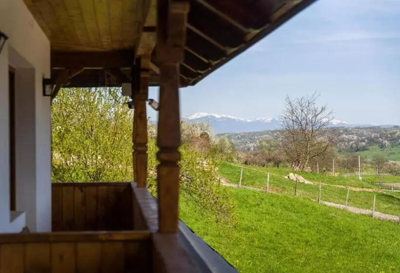 Pensiunea Roca Maramureș