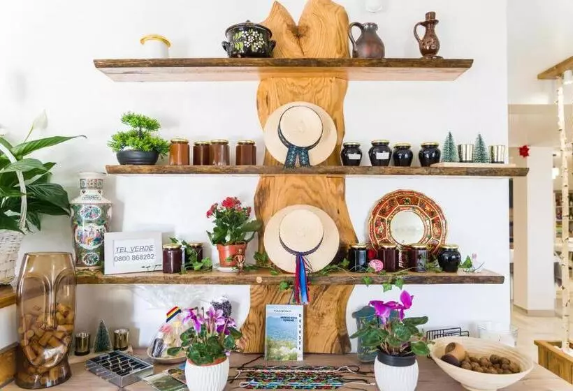 Pensiunea Roca Maramureș