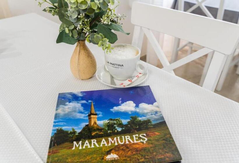 Pensiunea Roca Maramureș