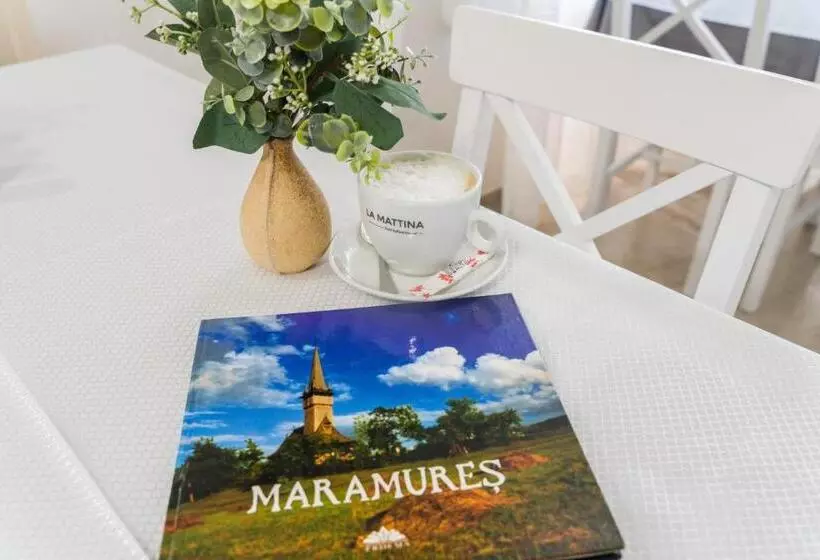 Pensiunea Roca Maramureș