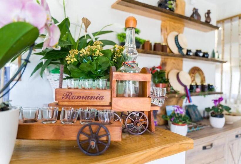 Pensiunea Roca Maramureș