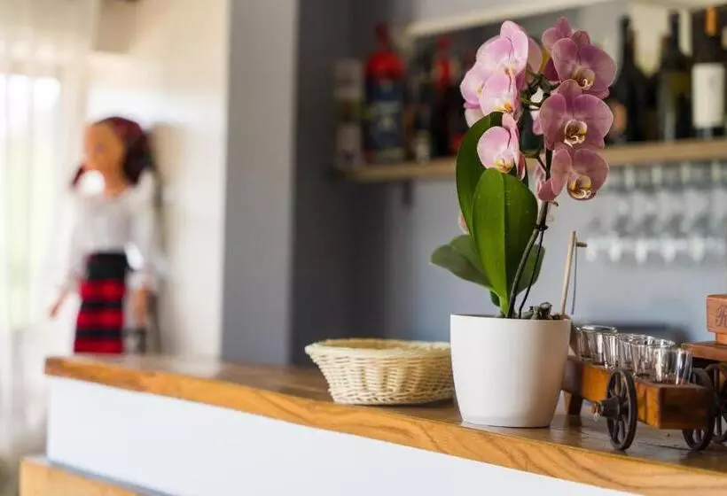 Pensiunea Roca Maramureș