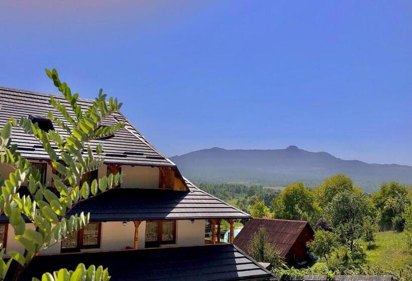 Pensiunea Roca Maramureș