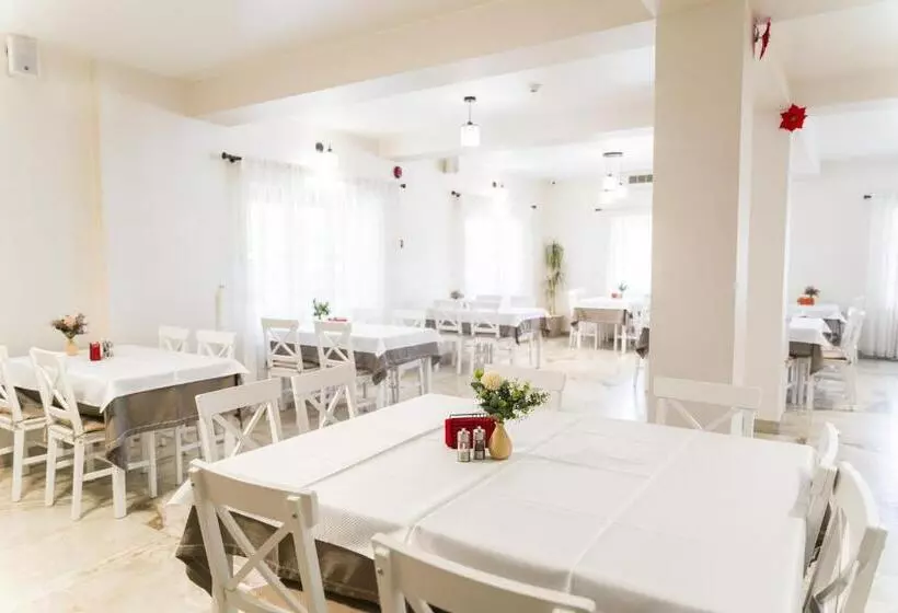 Pensiunea Roca Maramureș