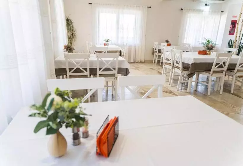 Pensiunea Roca Maramureș