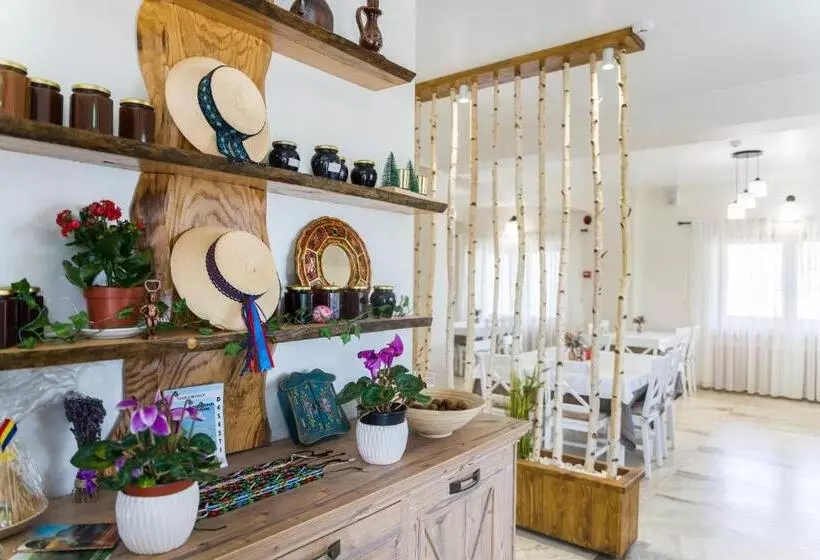 Pensiunea Roca Maramureș