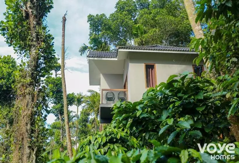 Lomakeskus Chandragiri Wayanad Pool Bungalow By Voye Homes