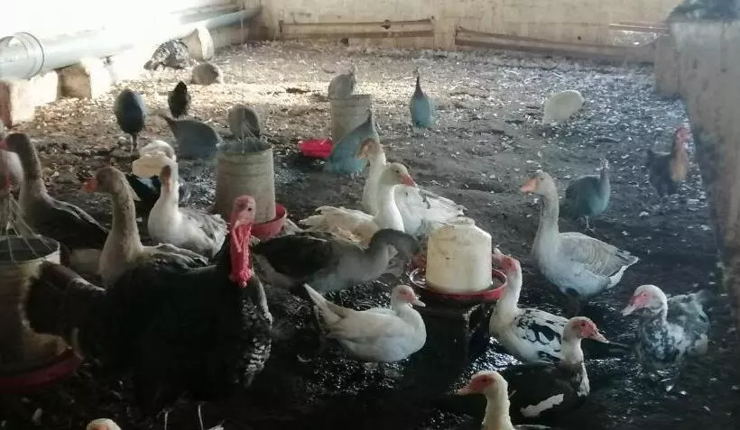 هتل Ferme Sacrée Nature