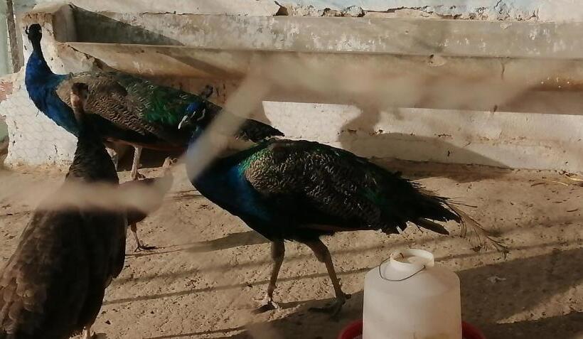 فندق Ferme Sacrée Nature