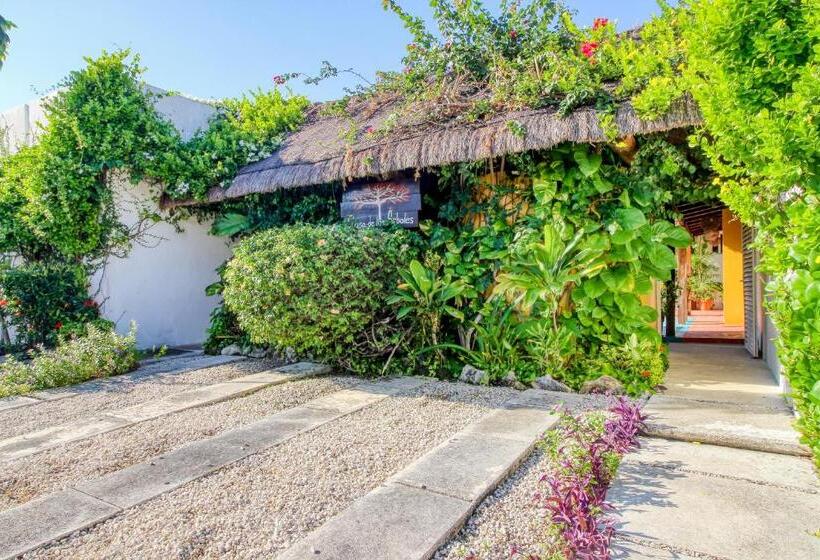 Szálloda Mahahual 1