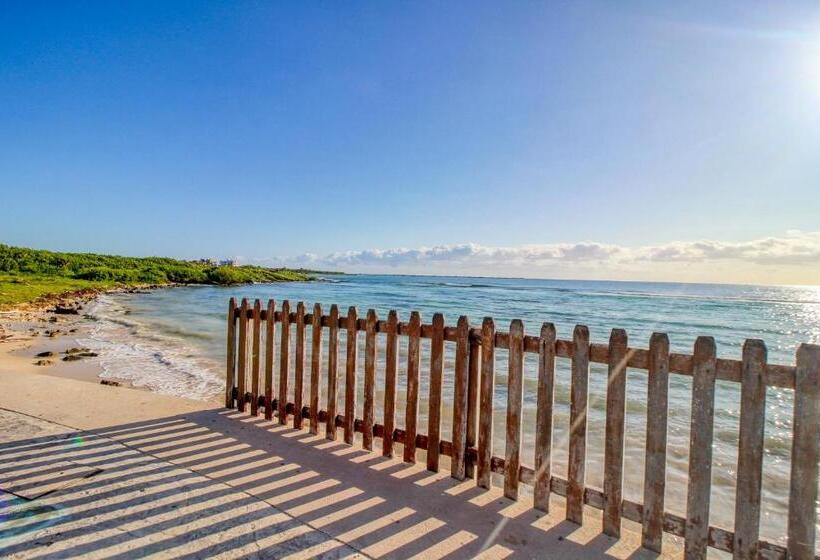 Szálloda Mahahual 1