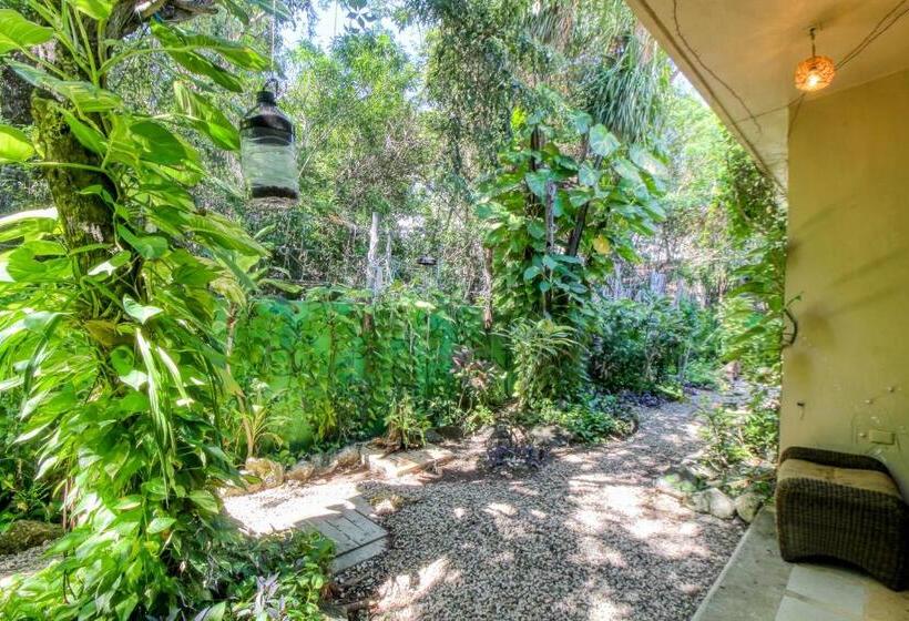 Szálloda Mahahual 1