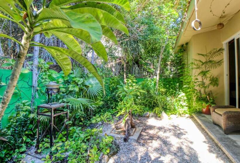 Szálloda Mahahual 1