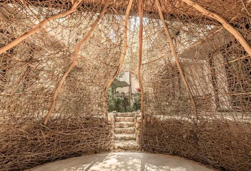 Naj Tulum