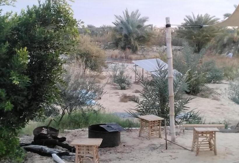 تختخواب و صبحانه Hidden Place