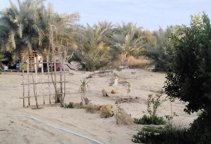 تختخواب و صبحانه Hidden Place