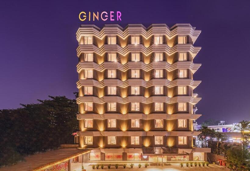 酒店 Ginger Bharuch
