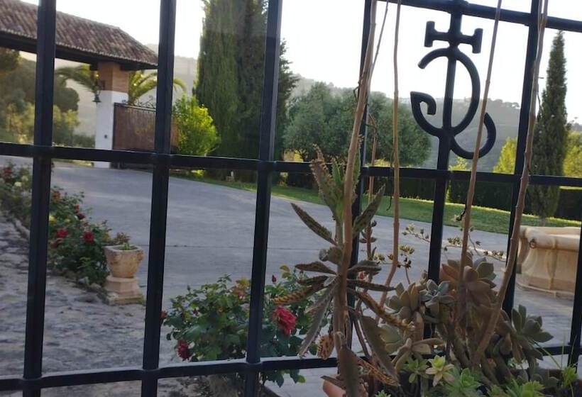 هتل La Mirada De Ronda