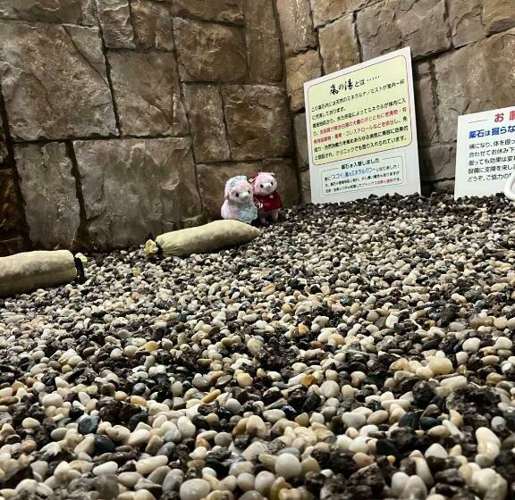 Отель La Rouge   Vacation Stay 89068v