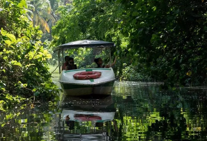 ホテル Leela Backwater Inn