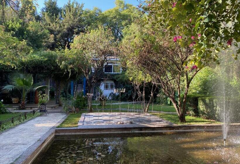 هتل Magnolias Jardin & Boutique Suites