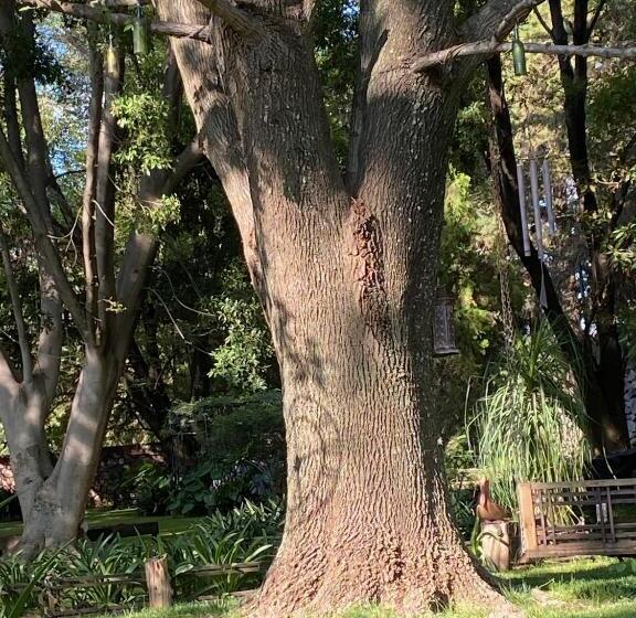 هتل Magnolias Jardin & Boutique Suites