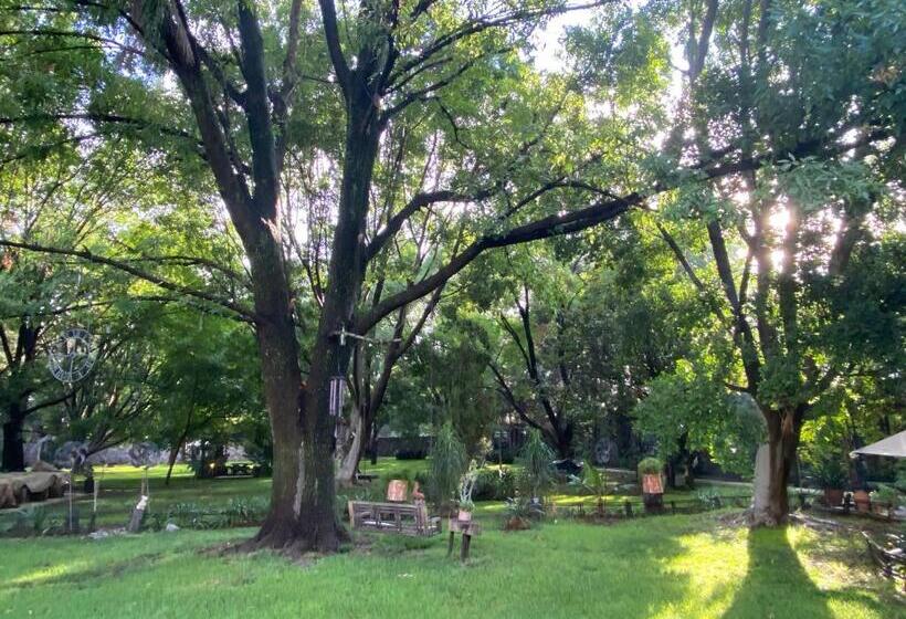 هتل Magnolias Jardin & Boutique Suites