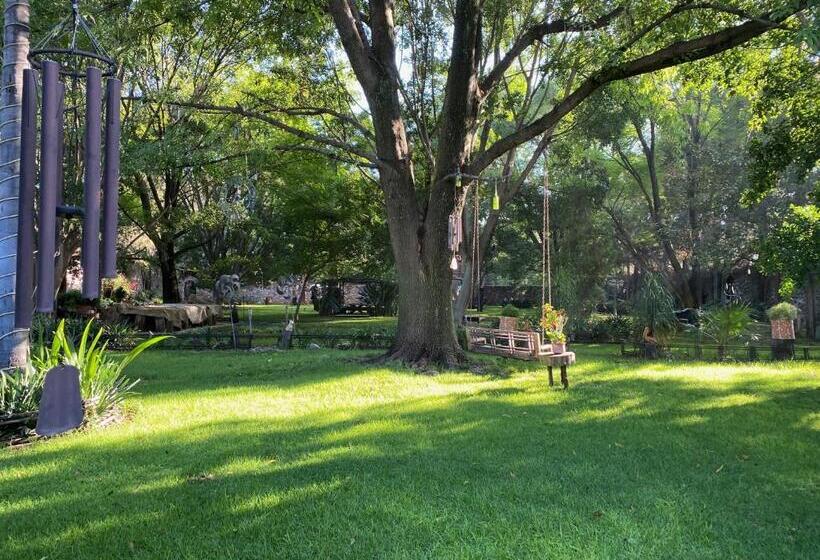 هتل Magnolias Jardin & Boutique Suites