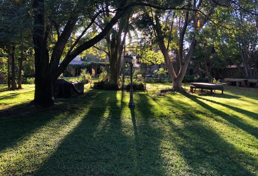 هتل Magnolias Jardin & Boutique Suites