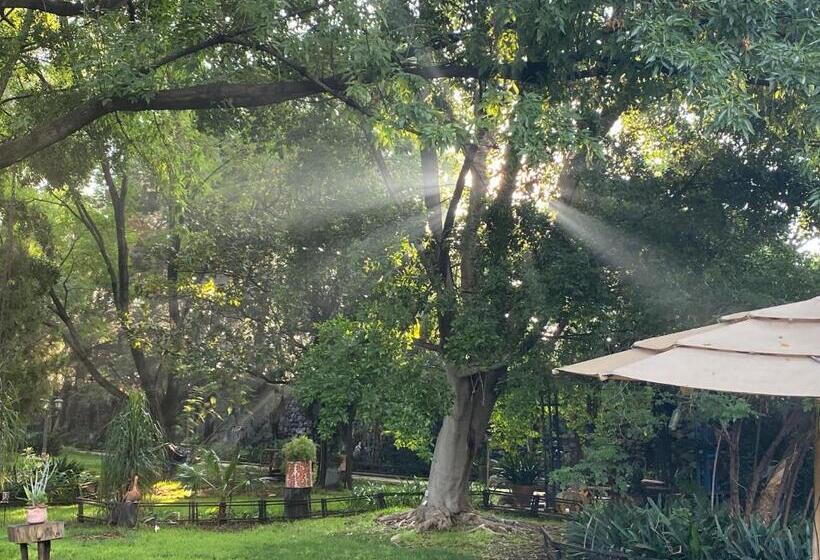 هتل Magnolias Jardin & Boutique Suites