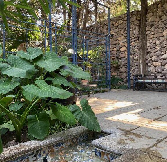 هتل Magnolias Jardin & Boutique Suites