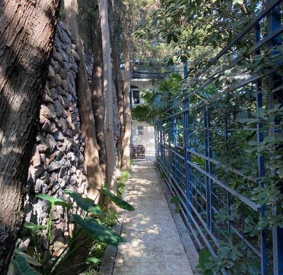 هتل Magnolias Jardin & Boutique Suites