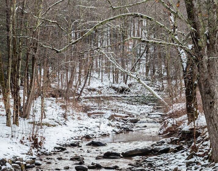 فندق Urban Cowboy Lodge