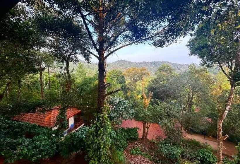 Jungle Hill Resort Coorg