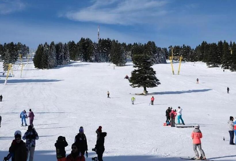 No 21 Hotel By Fi̇dan Hoca