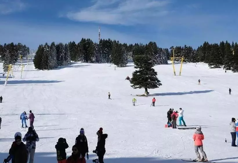 No 21 Hotel By Fi̇dan Hoca