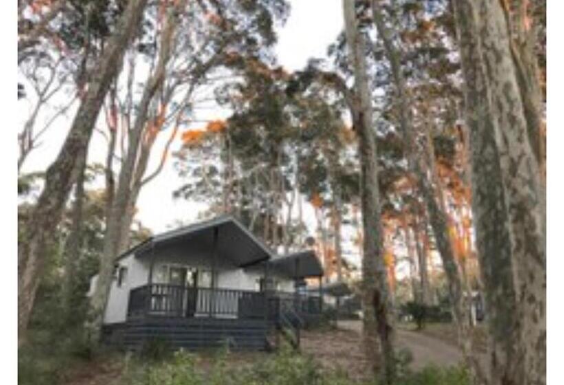 渡假胜地 Discovery Parks Narooma Beach